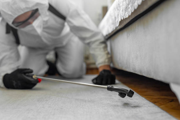 Professional Cockroach Control technician working in Janesville, MN